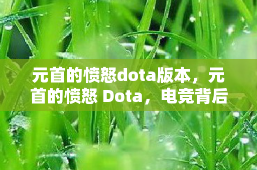 元首的愤怒dota版本，元首的愤怒 Dota，电竞背后的权力游戏