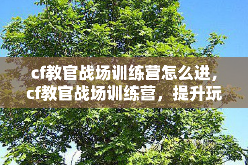 cf教官战场训练营怎么进，cf教官战场训练营，提升玩家战斗技能的绝佳平台