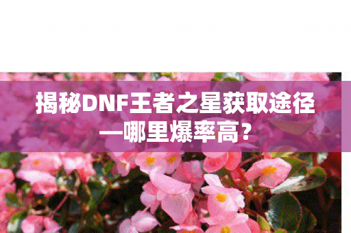 揭秘DNF王者之星获取途径—哪里爆率高? 揭秘DNF王者之星获取途径—哪里爆率高?