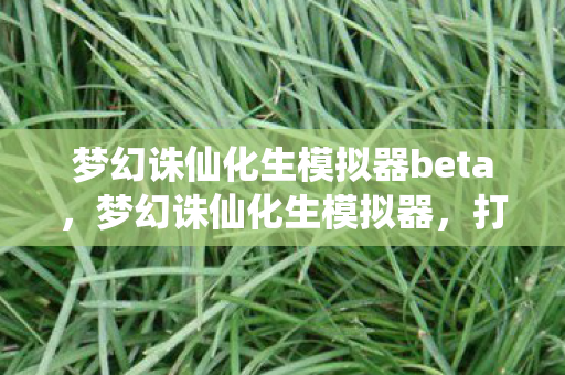 梦幻诛仙化生模拟器beta，梦幻诛仙化生模拟器，打造个性化宠物，提升游戏体验