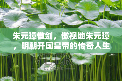 朱元璋傲剑，傲视地朱元璋，明朝开国皇帝的传奇人生