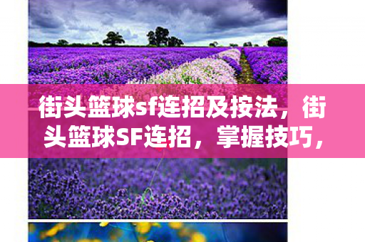街头篮球sf连招及按法，街头篮球SF连招，掌握技巧，提升实战水平