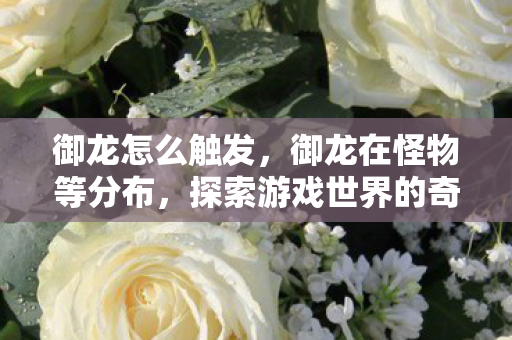御龙怎么触发，御龙在怪物等分布，探索游戏世界的奇妙生态