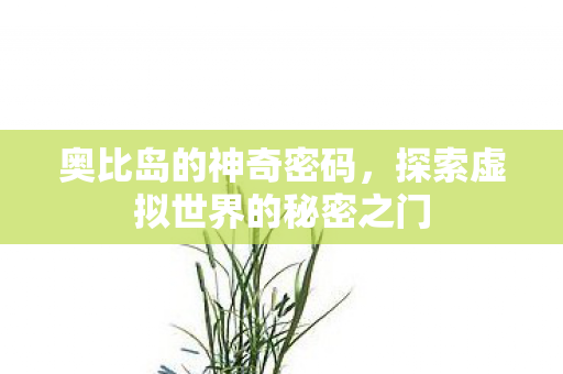 奥比岛的神奇密码,探索虚拟世界的秘密之门 奥比岛的神奇密码,探索虚拟世界的秘密之门