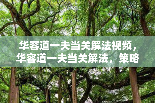 华容道一夫当关解法视频，华容道一夫当关解法，策略与智慧的碰撞