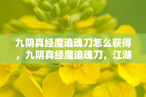 九阴真经魔追魂刀怎么获得，九阴真经魔追魂刀，江湖中的绝世神兵