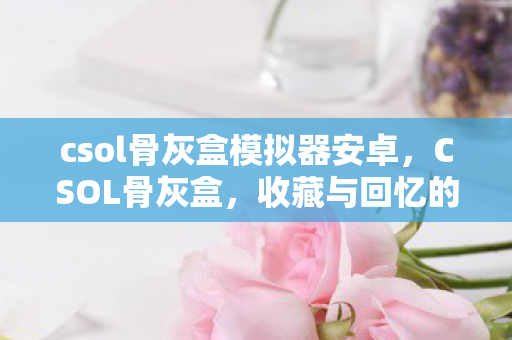 csol骨灰盒模拟器安卓，CSOL骨灰盒，收藏与回忆的珍贵载体