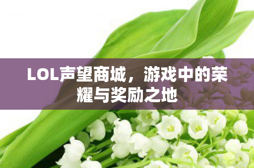 LOL声望商城,游戏中的荣耀与奖励之地 LOL声望商城,游戏中的荣耀与奖励之地