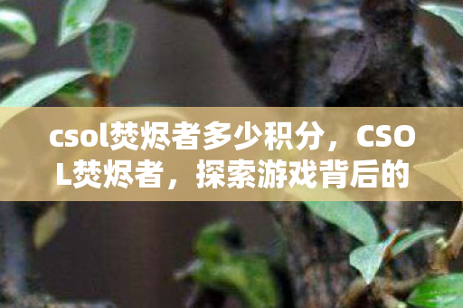 csol焚烬者多少积分，CSOL焚烬者，探索游戏背后的创新与挑战
