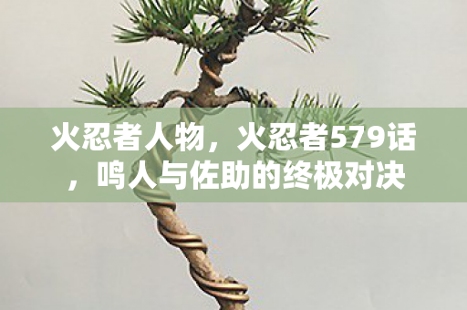 火忍者人物，火忍者579话，鸣人与佐助的终极对决