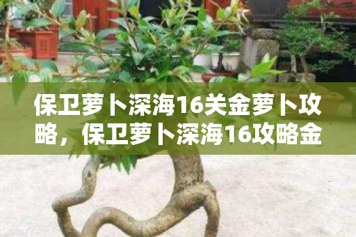 保卫萝卜深海16关金萝卜攻略，保卫萝卜深海16攻略金萝卜布阵图