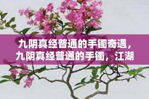 九阴真经普通的手镯奇遇，九阴真经普通的手镯，江湖中的一抹风情