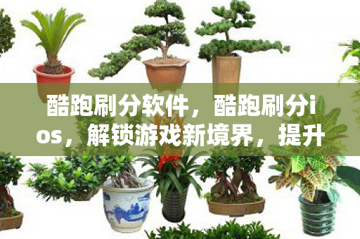 酷跑刷分软件，酷跑刷分ios，解锁游戏新境界，提升竞技水平
