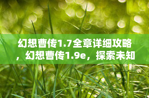 幻想曹传1.7全章详细攻略，幻想曹传1.9e，探索未知世界的奇幻之旅