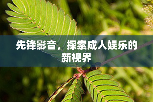 先锋影音,探索成人娱乐的新视界 先锋影音,探索成人娱乐的新视界