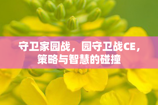 守卫家园战，园守卫战CE，策略与智慧的碰撞