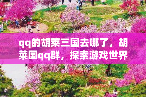 qq的胡莱三国去哪了，胡莱国qq群，探索游戏世界的另类社交圈
