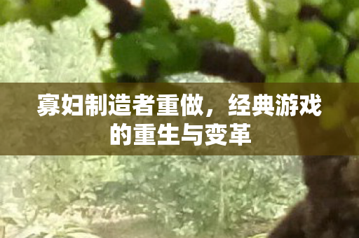 寡妇制造者重做，经典游戏的重生与变革