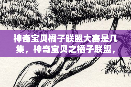 神奇宝贝橘子联盟大赛是几集，神奇宝贝之橘子联盟，探索宝可梦世界的奇妙旅程
