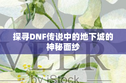 探寻DNF传说中的地下城的神秘面纱 探寻DNF传说中的地下城的神秘面纱