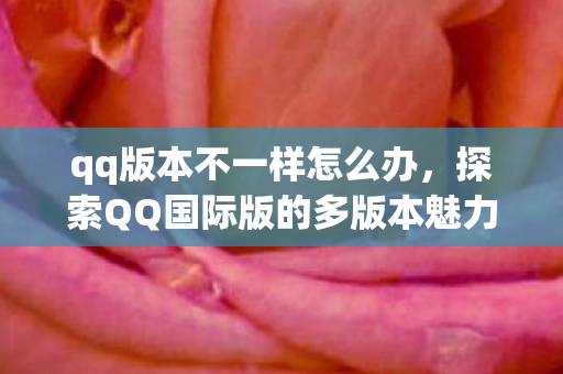 qq版本不一样怎么办，探索QQ国际版的多版本魅力与用户体验差异
