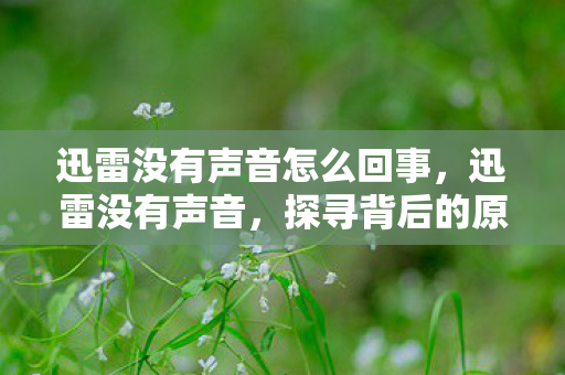 迅雷没有声音怎么回事，迅雷没有声音，探寻背后的原因与解决方案