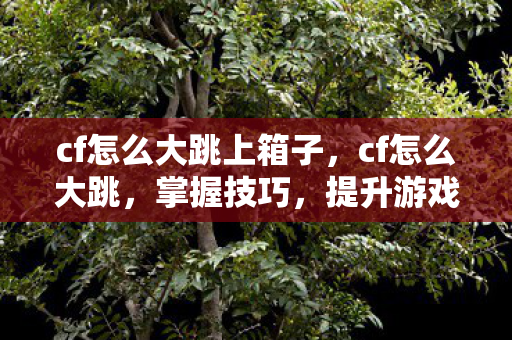cf怎么大跳上箱子，cf怎么大跳，掌握技巧，提升游戏表现
