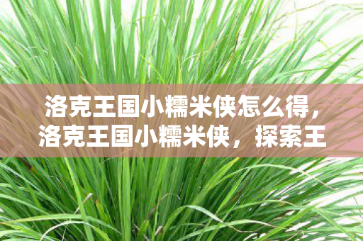 洛克王国小糯米侠怎么得，洛克王国小糯米侠，探索王国中的勇者传说