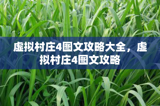 虚拟村庄4图文攻略大全，虚拟村庄4图文攻略