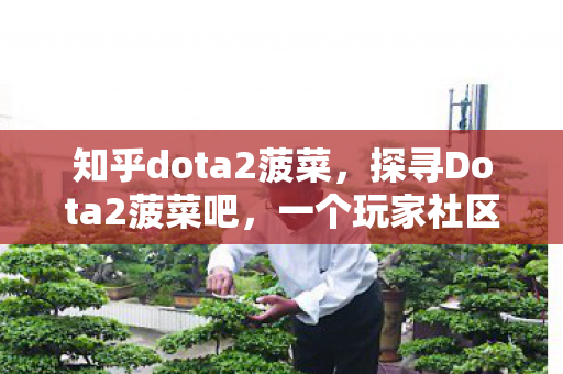 知乎dota2菠菜，探寻Dota2菠菜吧，一个玩家社区的深度剖析