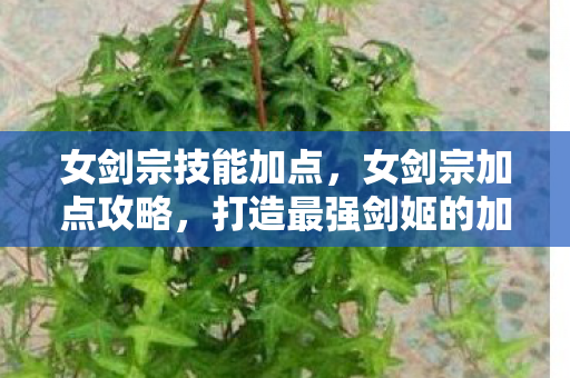 女剑宗技能加点，女剑宗加点攻略，打造最强剑姬的加点指南