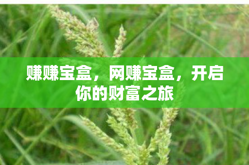赚赚宝盒，网赚宝盒，开启你的财富之旅