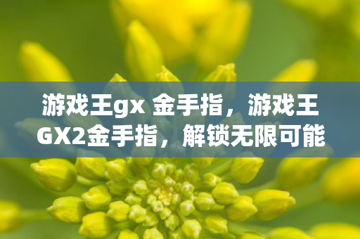 游戏王gx 金手指，游戏王GX2金手指，解锁无限可能的策略与战术