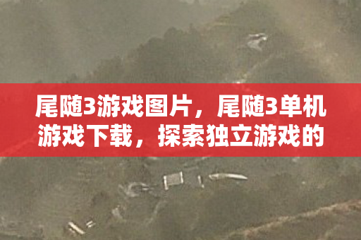 尾随3游戏图片，尾随3单机游戏下载，探索独立游戏的魅力与自由
