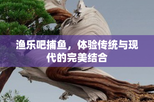 渔乐吧捕鱼,体验传统与现代的完美结合 渔乐吧捕鱼,体验传统与现代的完美结合