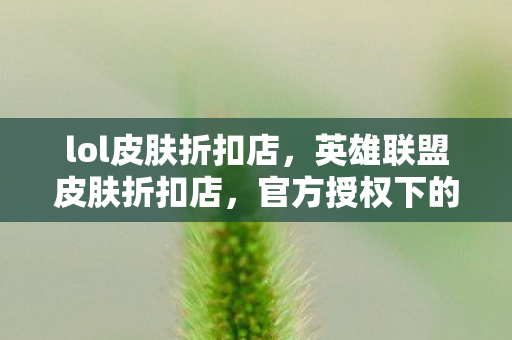 lol皮肤折扣店，英雄联盟皮肤折扣店，官方授权下的优惠购物体验