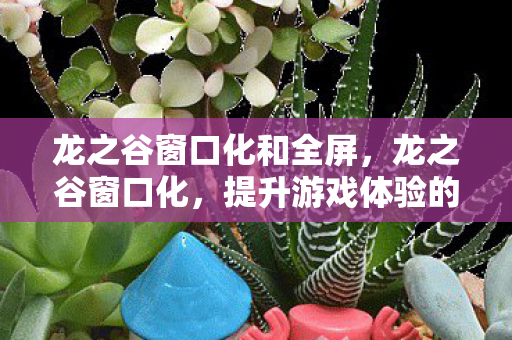 龙之谷窗口化和全屏，龙之谷窗口化，提升游戏体验的便捷途径