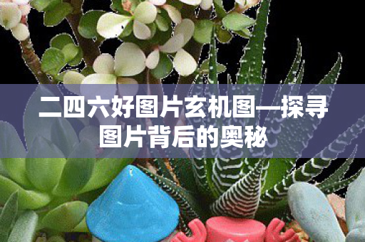 二四六好图片玄机图—探寻图片背后的奥秘 二四六好图片玄机图—探寻图片背后的奥秘