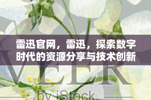 雷迅官网，雷迅，探索数字时代的资源分享与技术创新