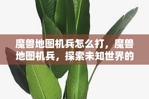 魔兽地图机兵怎么打，魔兽地图机兵，探索未知世界的奇妙之旅