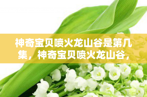神奇宝贝喷火龙山谷是第几集，神奇宝贝喷火龙山谷，探索未知世界的奇幻之旅