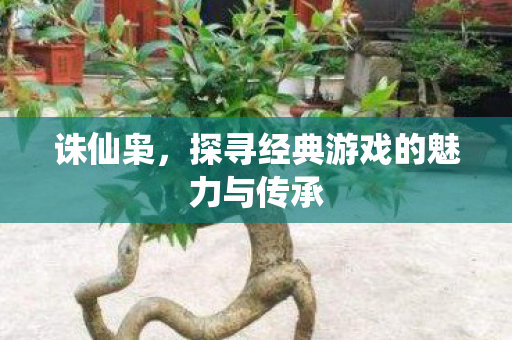 诛仙枭，探寻经典游戏的魅力与传承