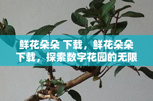 鲜花朵朵 下载，鲜花朵朵下载，探索数字花园的无限可能