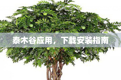 泰木谷应用，下载安装指南