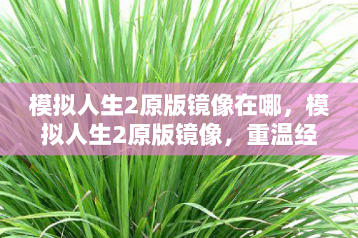 模拟人生2原版镜像在哪，模拟人生2原版镜像，重温经典，感受无限可能