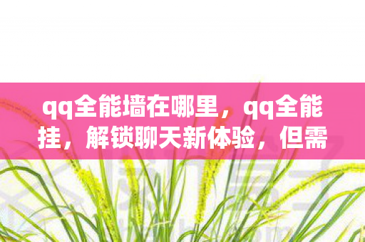 qq全能墙在哪里，qq全能挂，解锁聊天新体验，但需谨慎使用
