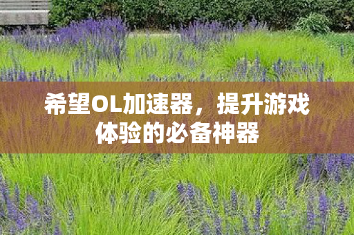 希望OL加速器，提升游戏体验的必备神器