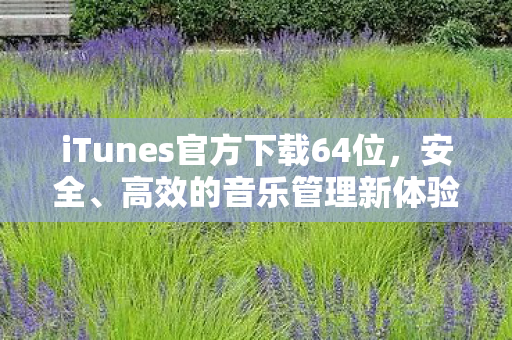 iTunes官方下载64位，安全、高效的音乐管理新体验