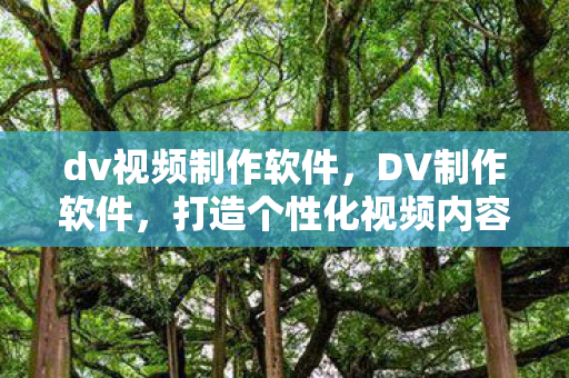 dv视频制作软件，DV制作软件，打造个性化视频内容的创意工具