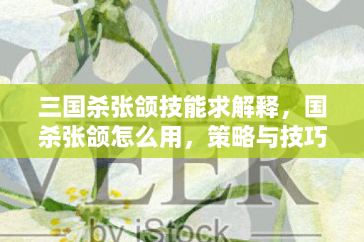 三国杀张颌技能求解释，国杀张颌怎么用，策略与技巧的深度解析
